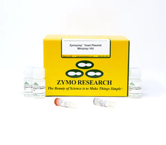 Simple solution for yeast plasmid DNA isolation using Zymolyase