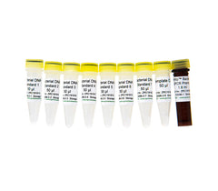 Highly sensitive quantification of human, bacterial, or fungal DNA