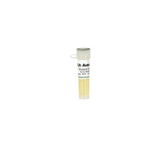 XJb (DE3) Autolysis Glycerol Stock available with DE3 lysogen encoding T7 RNA Polymerase gene.